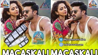 MACHASKALI FASSARAR ALGAITA